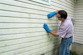 Affordable Siding Repair and Maintenance Services in Lealman, FL